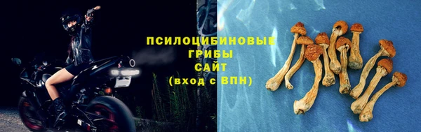 винт Вяземский