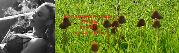 сатива Вязники