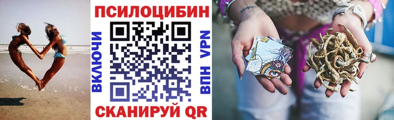 KRAKEN ссылки  Змеиногорск  Галлюциногенные грибы прущие грибы 
